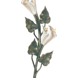 Preview image for  Calla