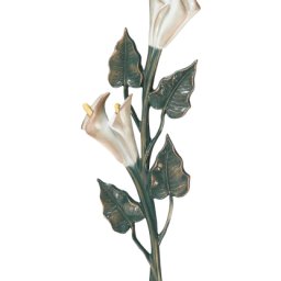 Preview image for  Calla