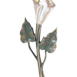 Preview image for  Calla