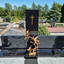 Preview image for  Putni T33 934