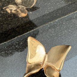 Preview image for  Taurenis P29 071