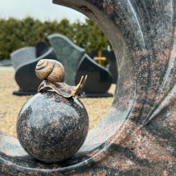 Preview image for  Gliemezis T29 102