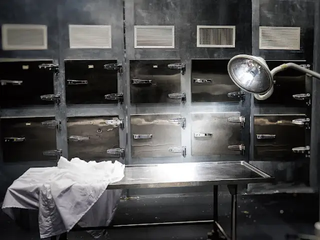 			Diennakts morga pakalpojumi
	