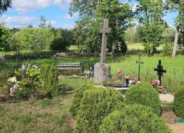 Myura kapi / Kungu kopi