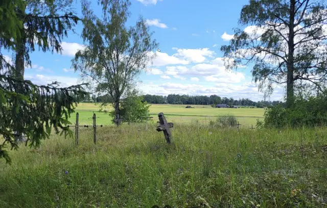 Myura kapi / Kungu kopi 
