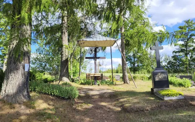 Myura kapi / Kungu kopi 